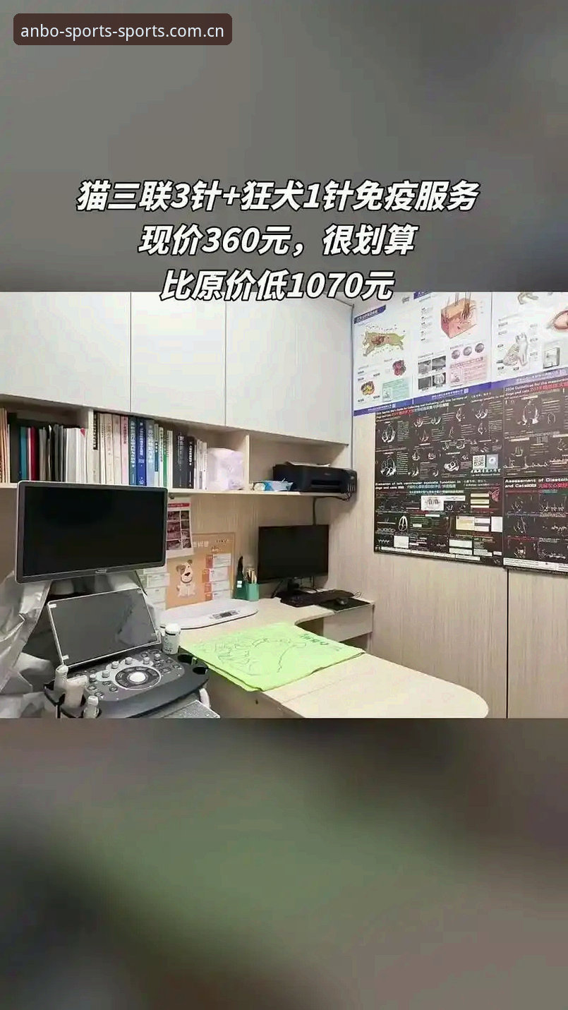 安博体育平台2025直接装体验报告：一部手机里的流畅生活切片